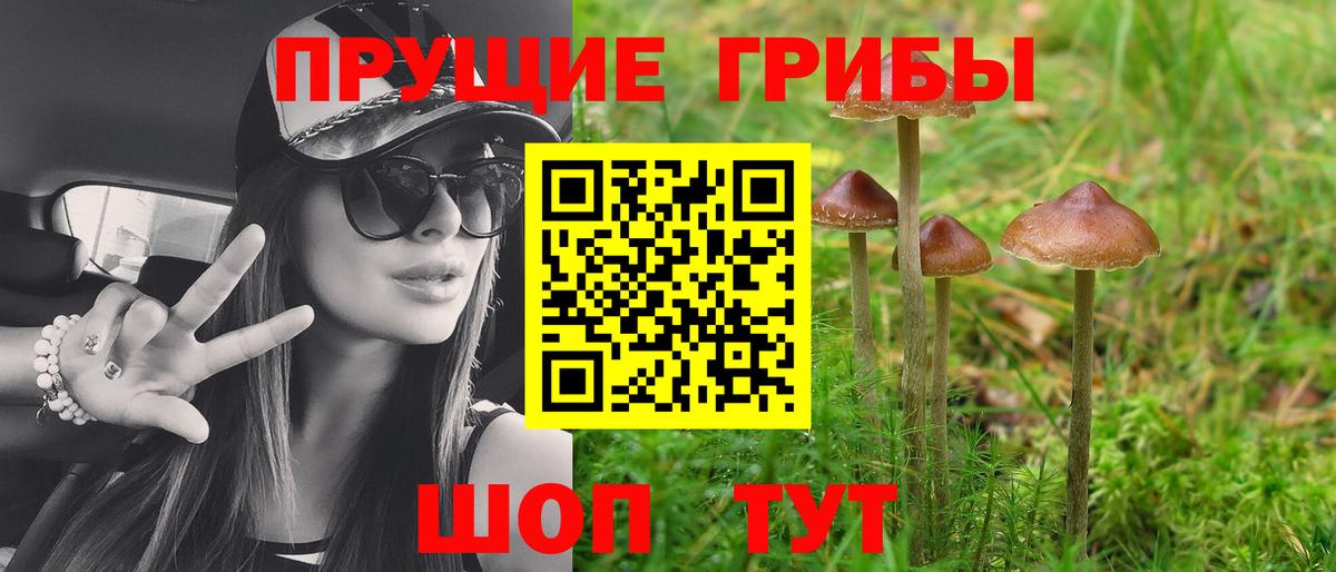 Псилоцибиновые грибы Magic Shrooms  Вход с VPN  Галлюциногенные грибы мухоморы  Подольск 